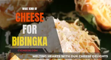 Bibingka Cheese: Choosing the Perfect Variety for Your Taste