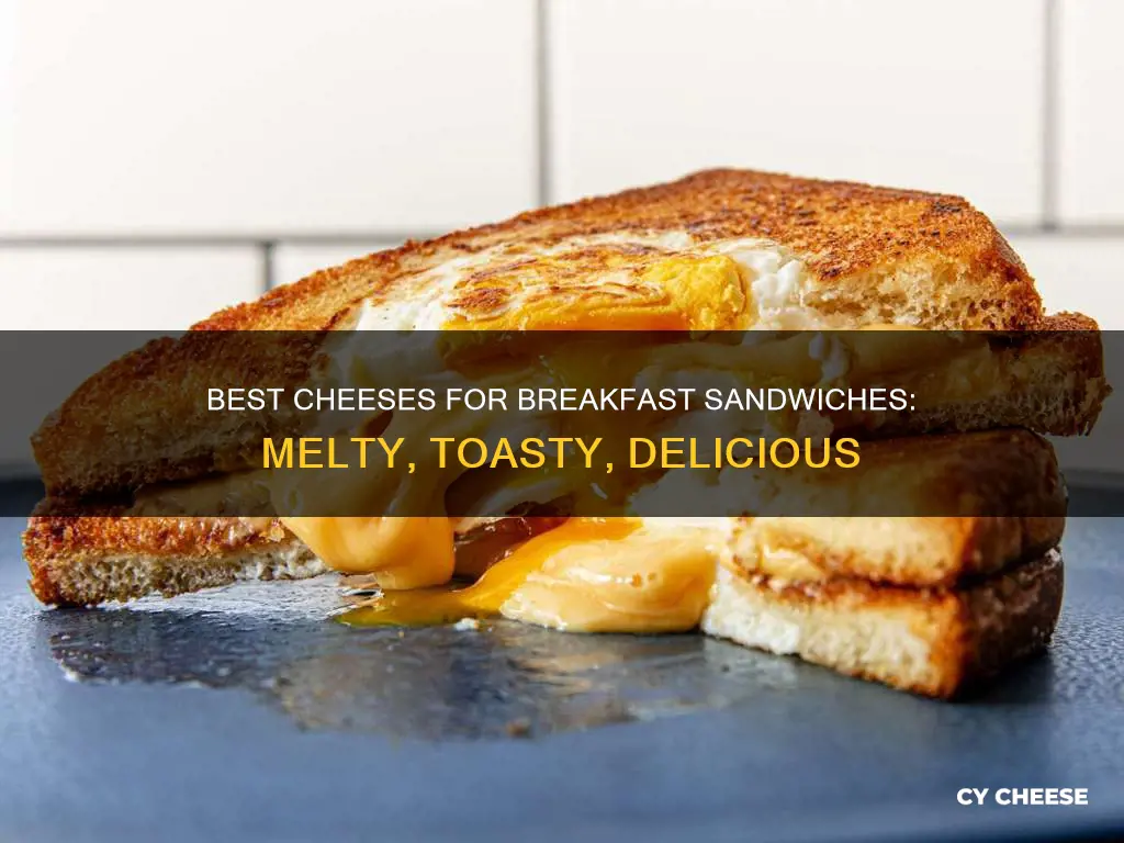 what kind of cheese for breakfast sandwich