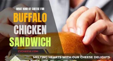 Best Cheeses to Compliment a Buffalo Chicken Sandwich