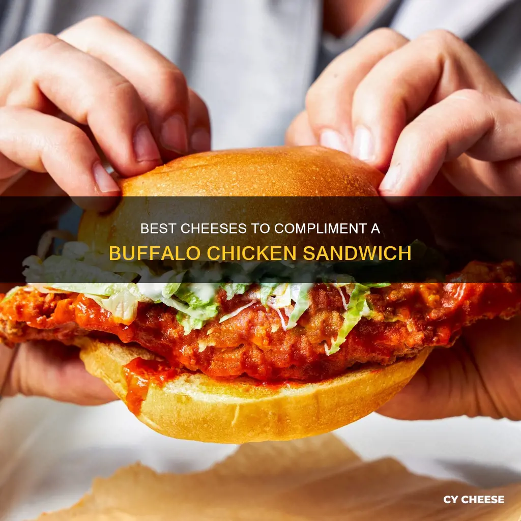 what kind of cheese for buffalo chicken sandwich