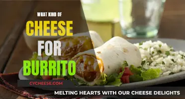 Cheese Options for the Perfect Burrito