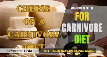 Carnivore Diet: Best Cheeses to Eat and Avoid