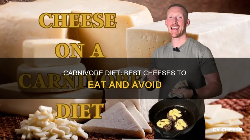 what kind of cheese for carnivore diet