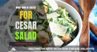 Cheese Options for a Classic Caesar Salad