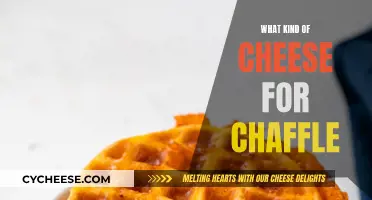 Cheese Options for Your Next Chaffle Adventure