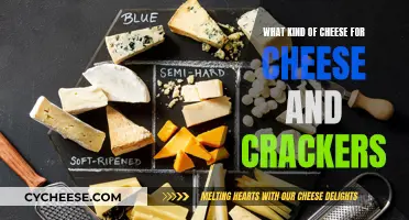 Cheese and Crackers: Selecting the Perfect Cheese