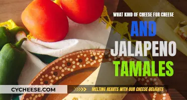 Cheese and Jalapeno Tamales: Choosing the Right Cheese