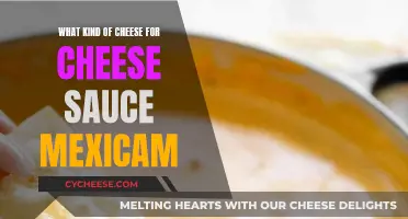 Cheese Sauce Secrets: Mexican Style with the Right Cheese