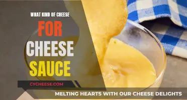 Cheese Sauce: Choosing the Right Cheese for Your Dish