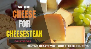 Cheese Choice: Perfect Cheesesteaks