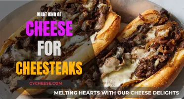 Cheese Whiz: The Ultimate Cheesy Steak Experience