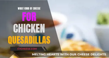 Best Cheeses for Chicken Quesadillas: Melty, Oozy, Gooey