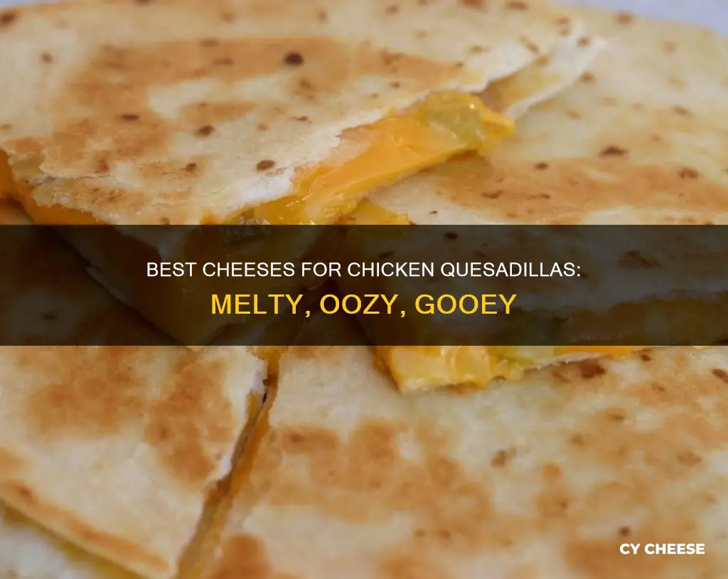 what kind of cheese for chicken quesadillas