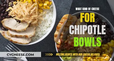 Chipotle Bowl Bliss: Choosing the Perfect Cheese