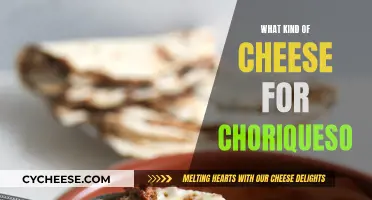 Choosing the Perfect Cheese for Choriqueso