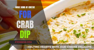 Cheese and Crab Dip: Perfect Pairing for a Snack