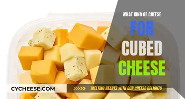 Cheese Cubes: Choosing the Right Variety for Your Palate