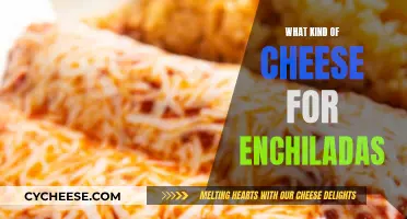 Cheese for Enchiladas: Melty, Stretchy, and Flavorful Combinations