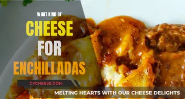 Cheese Enchiladas: Melty, Gooey, and Perfectly Cheesy