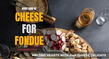 Cheese Fondue: Selecting the Perfect Melting Cheese