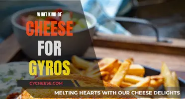 Cheese Choices for Gyros: The Best Options