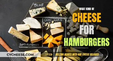 Cheese Options for the Perfect Hamburger Experience