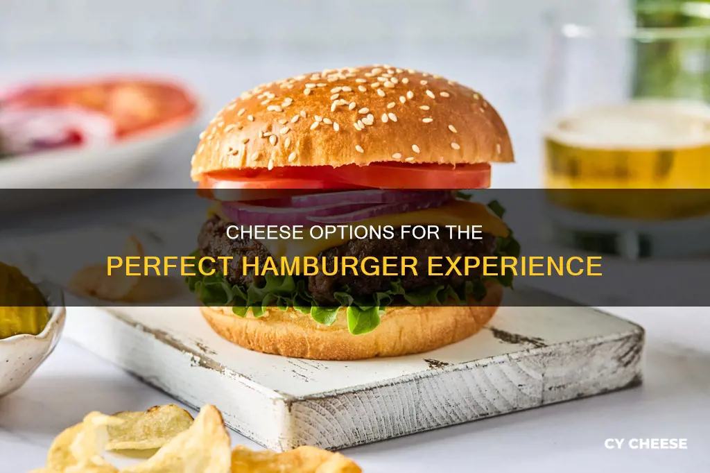 what kind of cheese for hamburgers