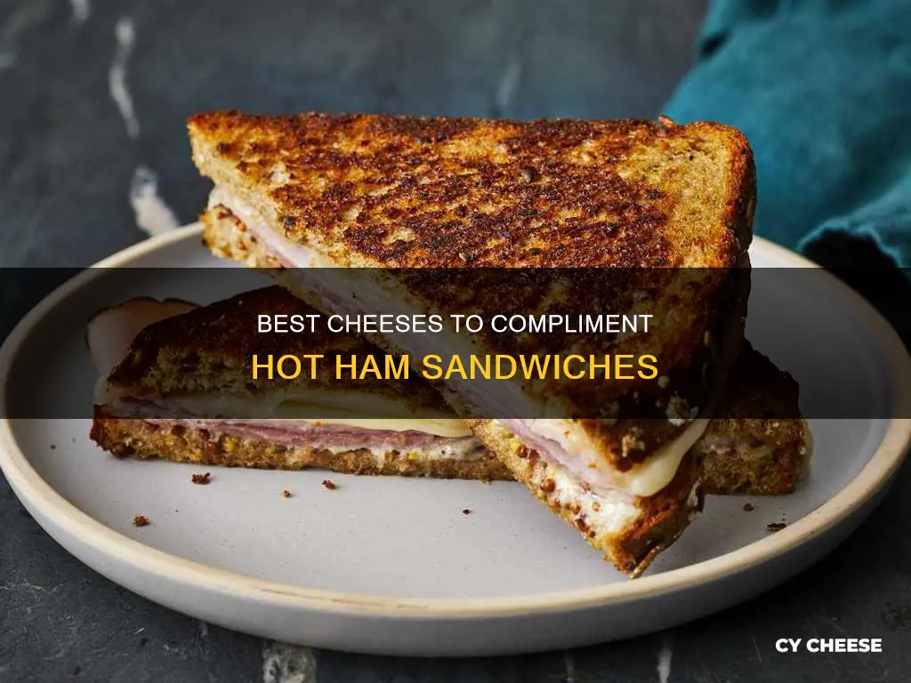 what kind of cheese for hot ham and cheese