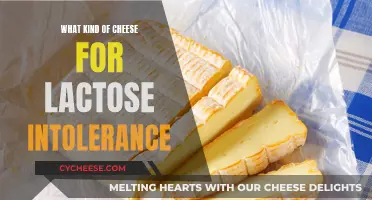 Cheese Options for the Lactose Intolerant