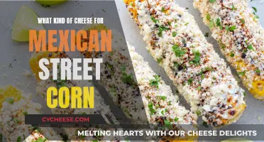 Cheese Options for Mexican Street Corn