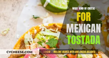 Cheese Options for a Mexican Tostada