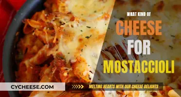 Cheese Options for Mostaccioli: The Best Melty Combinations