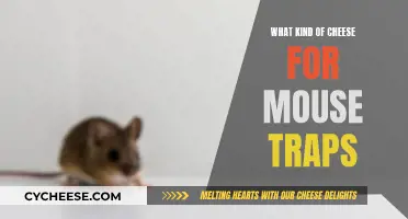 The Best Cheese to Lure Mice: Effective Trapping