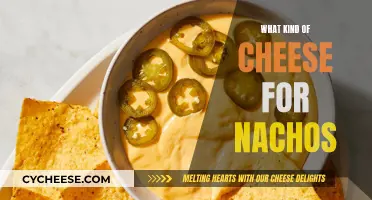 Cheese for Nachos: Melty, Gooey, and Perfectly Cheesy