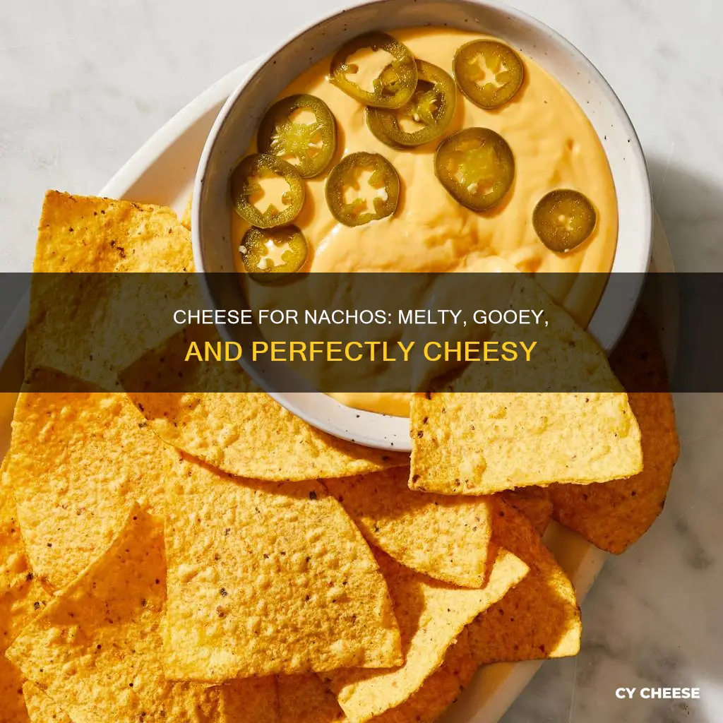 what kind of cheese for nachos