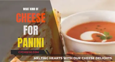 Panini Perfection: Choosing the Right Cheesy Fillings