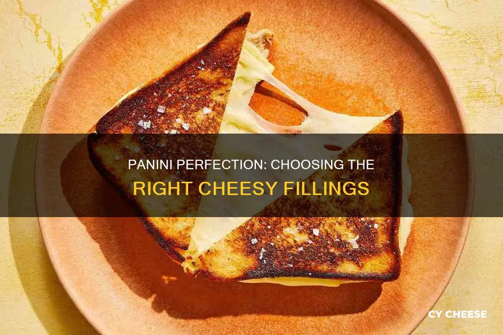 what kind of cheese for panini