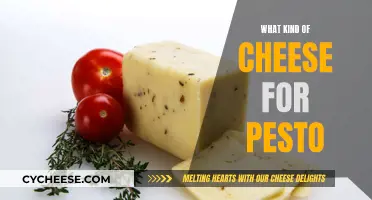 Cheese and Pesto: The Perfect Pairing Guide