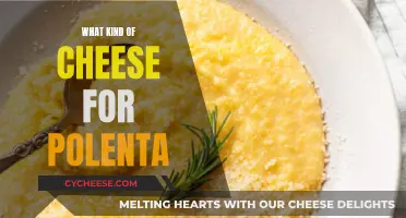 Polenta's Cheesy Partners: Finding the Perfect Cheese Match