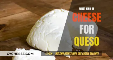 Cheese for Queso: Picking the Perfect Melt