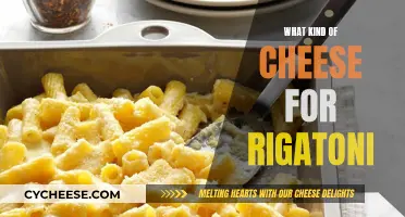 Best Cheeses to Pair with Rigatoni