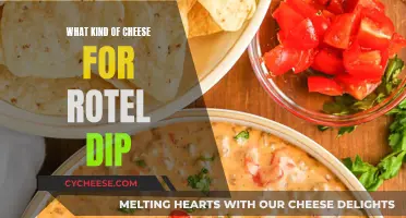 Cheese Choice for Rotel Dip: What's the Best Option?