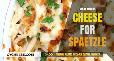 Cheese Choices for Spaetzle: Perfecting the German Dish