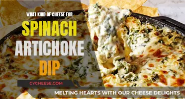 Cheese Choice for Spinach Artichoke Dip Perfection