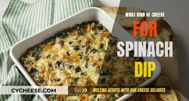 Cheese and Spinach Dip: Perfect Pairing for a Tasty Treat