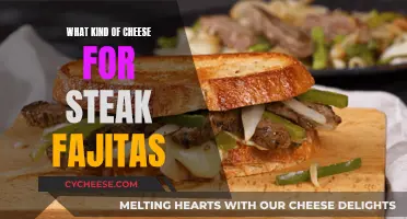 Cheese Options for Delicious Steak Fajitas