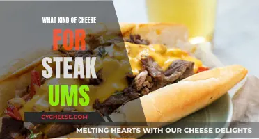 Cheese and Steak: Melty, Gooey, and Delicious Combinations