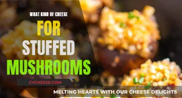 Cheese and Mushrooms: Perfect Pairing for a Tasty Bite