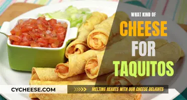 Cheese for Taquitos: Melty, Stretchy, and Delicious Options