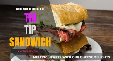 Cheese Options for Tri-Tip Sandwiches: A Quick Guide